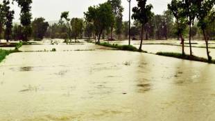 Vidarbha heavy rain