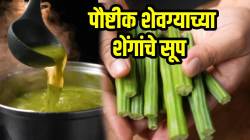 VIDEO: कसं बनवायचं शेवग्याच्या शेंगांचे सूप? साहित्य आणि कृती लगेच वाचा…