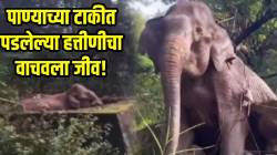 पाण्याच्या टाकीत पडली जंगलात फेरफटका मारणारी हत्तीण; कसा वाचवला ‘तिचा’ जीव एकदा VIDEO तून बघाच