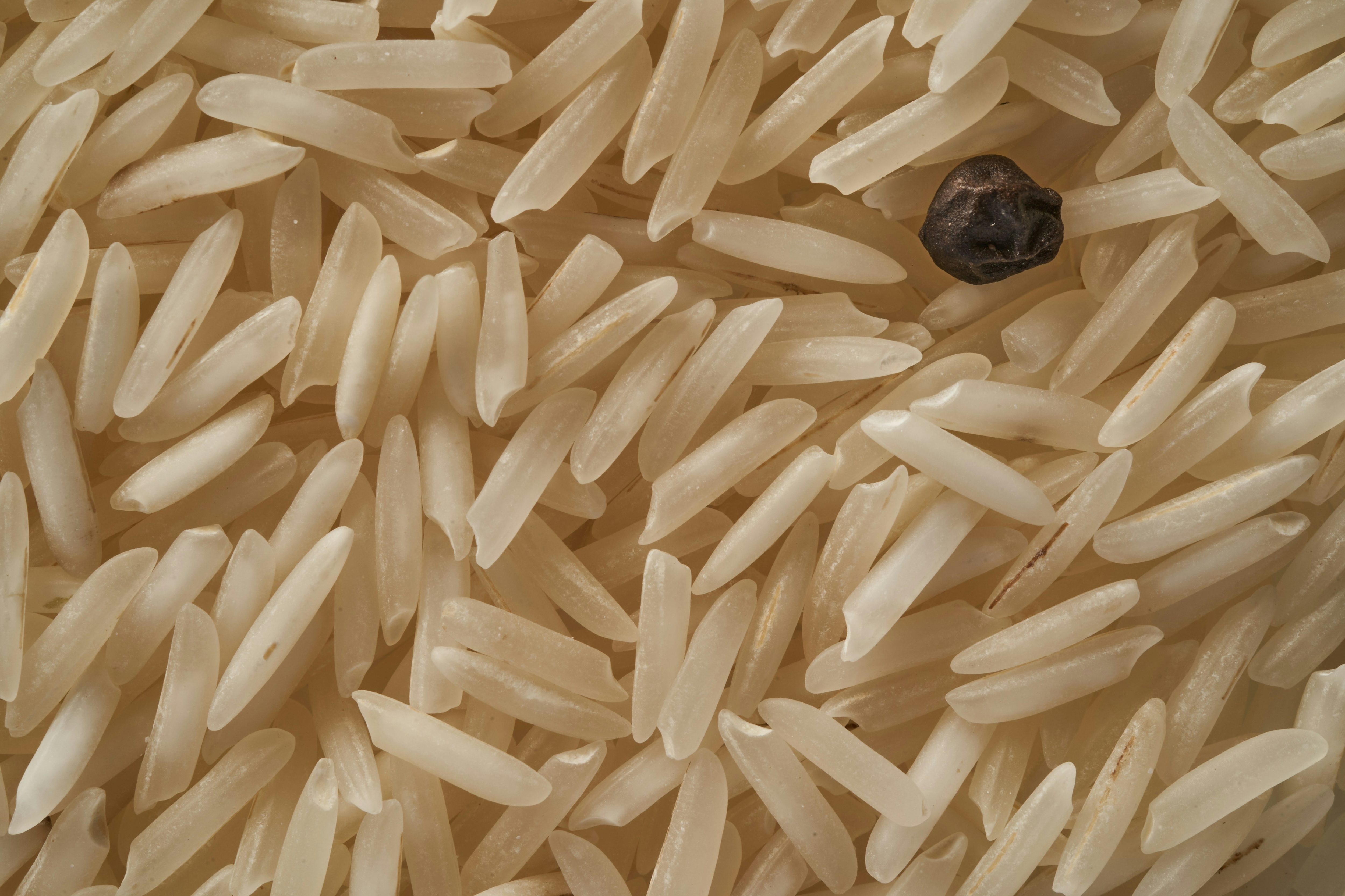 black rice