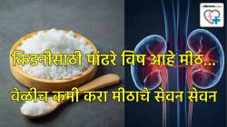 किडनीसाठी पांढरे विष आहे किचनमधील ‘हा’ एक पदार्थ, दूर रहा नाही तर किडनी होईल निकामी…