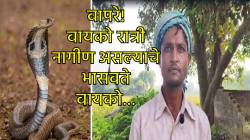 विचित्र की भयानक… नवरा म्हणतो, बायको रात्री नागीण असल्याचे सांगत घाबरवते; सुरक्षेची केली मागणी