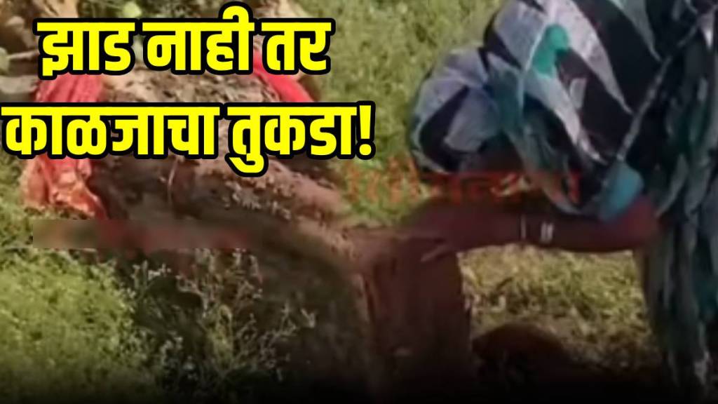 20 year old tree cut down after woman breaks down in tears