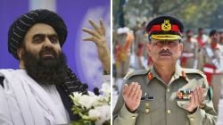 अफगाणिस्तानचा पाकिस्तानला भारतातून इशारा; तालिबानचे परराष्ट्र मंत्री म्हणाले “हवे असल्यास अमेरिकेला…”