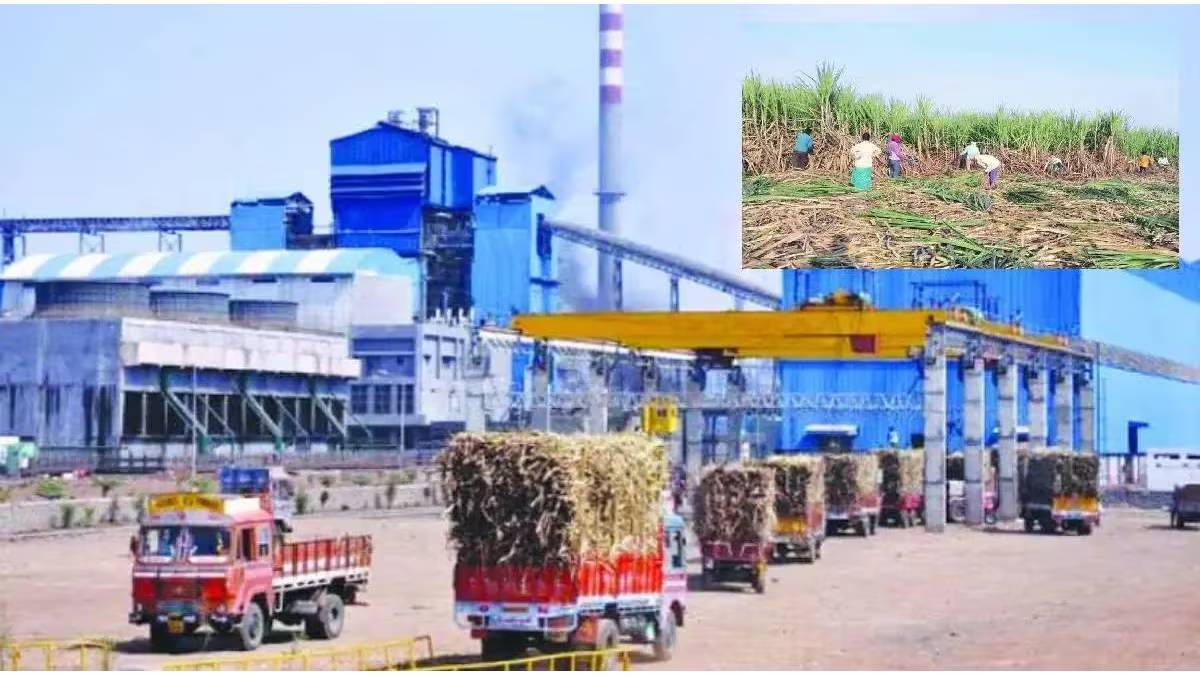 Agasti Rag अगस्ती साखर कारखान्याकडून उसाला तीन हजार रुपये भाव - Marathi News ...