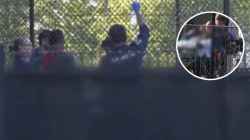 ऑस्ट्रेलियन खेळाडूच्या मानेला लागला चेंडू, रूग्णालयात मृत्यूशी झुंज देतोय फलंदाज; फिलिप ह्युजसारखी गंभीर दुखापत