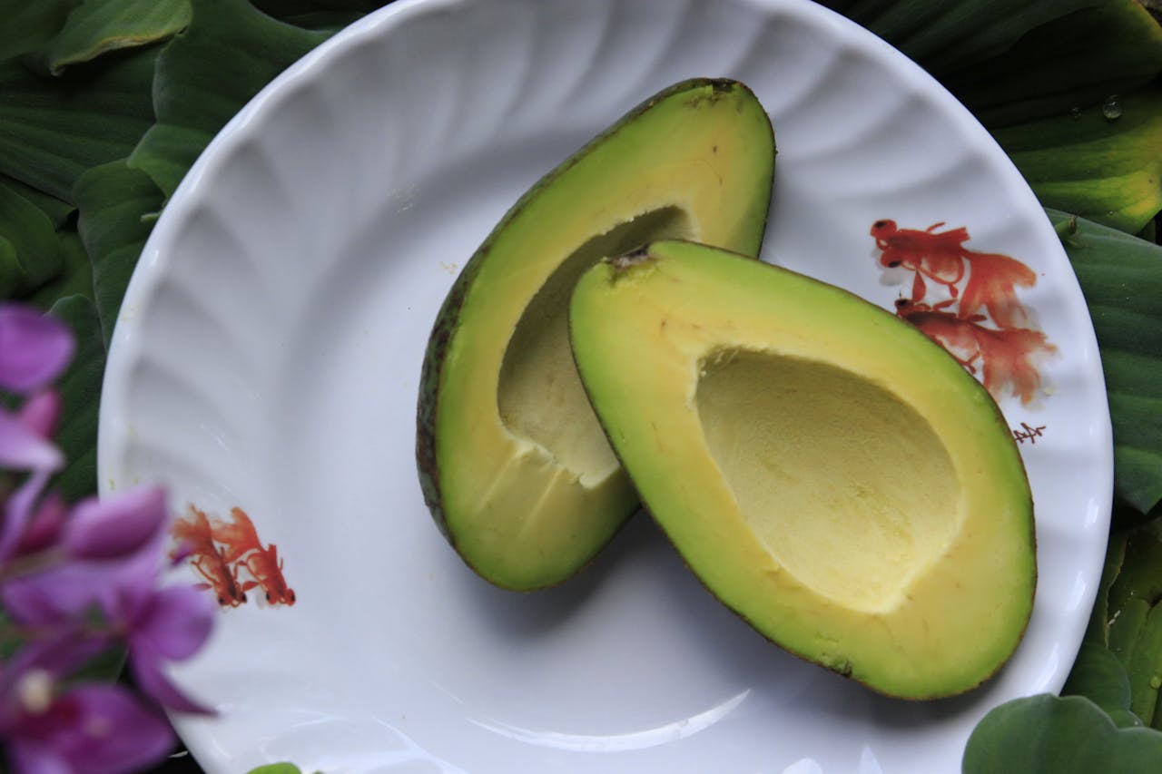 Avocado Recipes Healthy Living