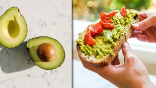 Avocado Recipes Healthy Living