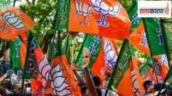 बिहारमध्ये भाजपाचा महाराष्ट्र फॉर्म्युला? काय आहे भाजपाची निवडणूक रणनीती?