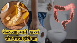 केळ खाल्याने खरचं पोट साफ होते का? केळ पचवणे सोपे की अवघड? तज्ज्ञांनी केला खुलासा