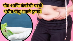 पोट आणि कंबरेची चरबी थंडीत वाढू शकते दुप्पट! सकाळी नाश्त्यात मुळा खाल्ल्यास लवकर कमी होईल चरबी अन् शरीर राहील फिट