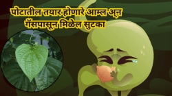 पोटातील घाण अन् विषारी घटक पडतील बाहेर! फक्त जेवणानंतर हे पान चावून खा, झटक्यात होईल पोट साफ