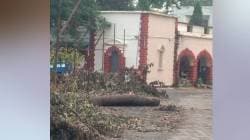 भंडारा: न्यायालय परिसरात नवीन इमारत बांधकामासाठी वृक्षतोड; पर्यावरणाचा ऱ्हास…