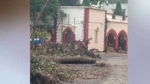 Tree cutting for construction of new building in Bhandara District and Sessions Court area