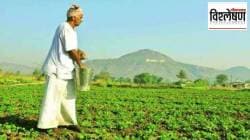 विश्लेषण: भावांतर योजना कुठे हरवली?