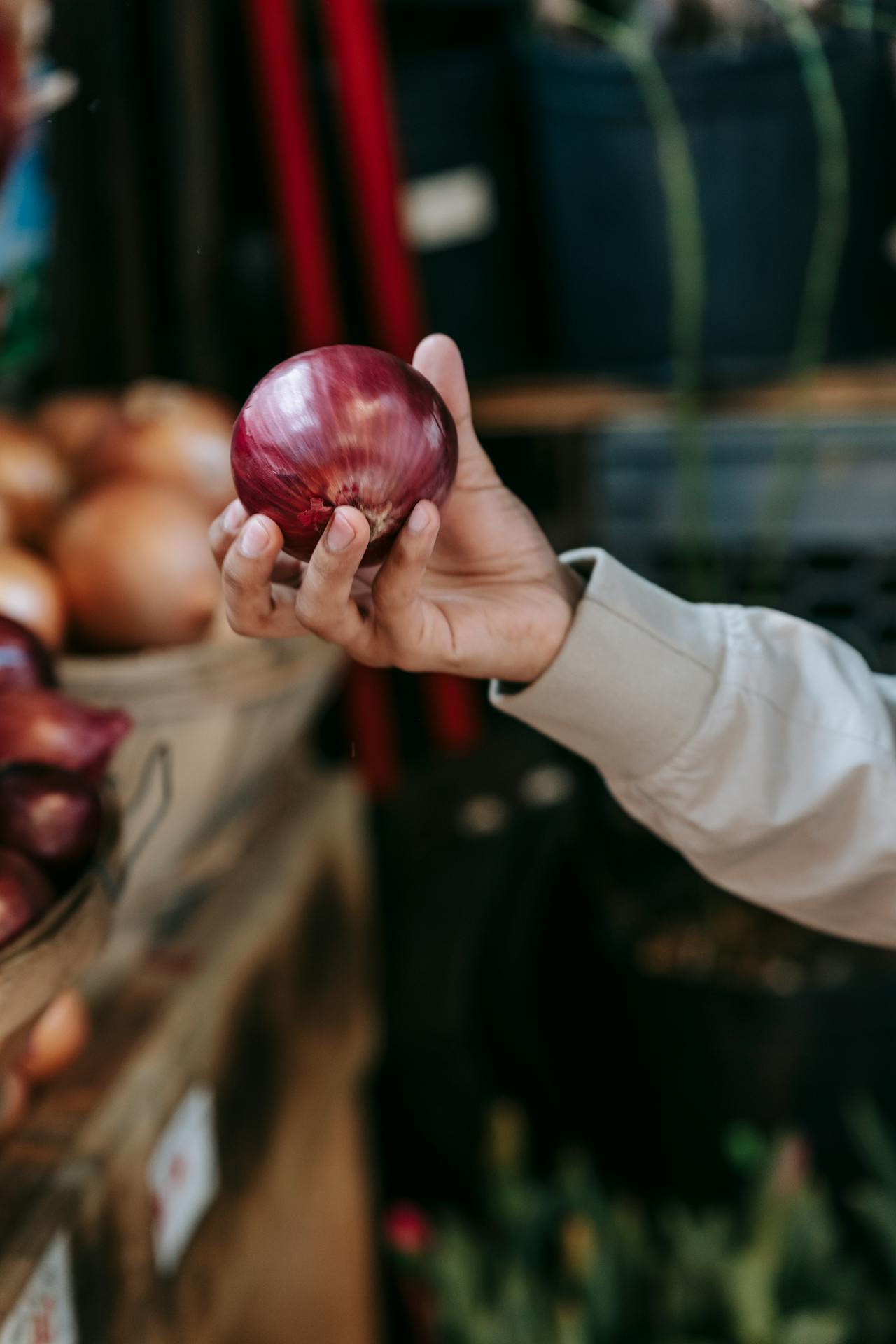 Black Fungus on Onions Disadvantages