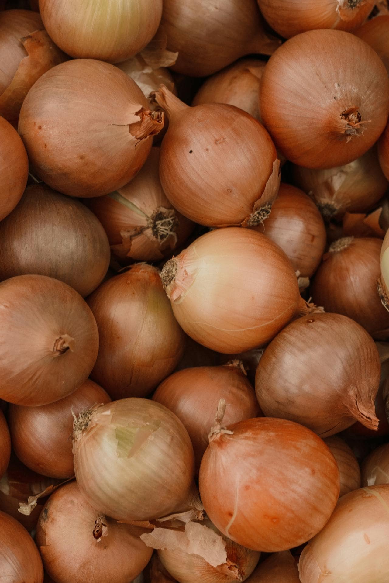 Black Fungus on Onions Disadvantages