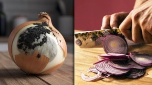 Black Fungus on Onions Disadvantages