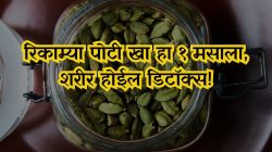 रिकाम्या पोटी खा हा १ मसाला, शरीर होईल डिटॉक्स! वजन होईल कमी, मन राहील शांत