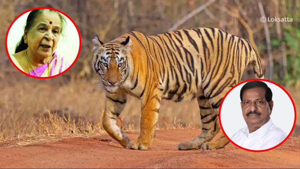 Chief Minister's aunt demands forest minister to provide security to Chandrapur villagers