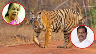 Chief Minister's aunt demands forest minister to provide security to Chandrapur villagers