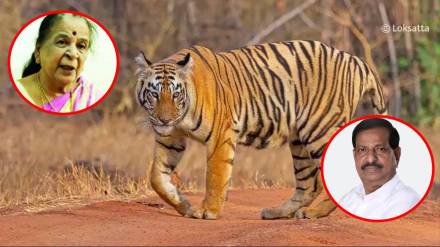 Chief Minister's aunt demands forest minister to provide security to Chandrapur villagers