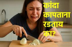 कांदा कापताना रडताय का? अखेर संशोधकांनी शोधली अश्रू थांबवण्याची युक्ती, आता बिनधास्त चिरा कांदा…