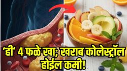 नसांत साचलेलं खराब कोलेस्ट्रॉल झटक्यात बाहेर पडेल! फक्त ‘ही’ ४ फळं खा; हृदयाच्या नसा साफ होऊन हार्ट अटॅकचा धोका होईल कमी