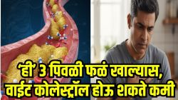 शरीरातील वाईट कोलेस्ट्रॉल बाहेर फेकतात ‘ही’ ३ पिवळी फळं, हार्ट अटॅकचा धोका होऊ शकतो कमी