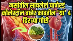 नसांतील साचलेलं घाणेरडं कोलेस्ट्रॉल झटक्यात काढतील ‘या’ ४ हिरव्या गोष्टी! बीपी राहील नॉर्मल, तुमचे हृदय राहील निरोगी