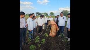 Dr. Shobhatai Bachhav inspecting the affected farmers in Malegaon taluka