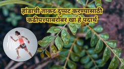 कढीपत्याबरोबर हे ५ पदार्थ खा, शरीराला मिळेल भरपूर कॅल्शिअम, हाडांची ताकद होईल दुप्पट
