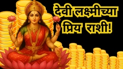 Diwali 2025 : देवी लक्ष्मीला खूप प्रिय आहेत या ५ राशी! दिवाळीत हे लोक होतील गडगंज श्रीमंत