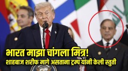 पाकिस्तानच्या पंतप्रधानांसमोरच डोनाल्ड ट्रम्प यांनी केली भारताची स्तुती; म्हणाले, ‘भारत माझा चांगला मित्र’