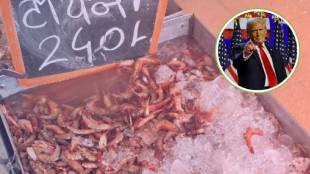 Donald-Trumps-tariffs