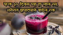हिवाळ्यात फक्त ३० दिवस प्या हा लाल रस, शरीरात झपाट्याने वाढेल रक्त, त्वचा दिसेल तरुण, गुलाबी अन् तजेलदार