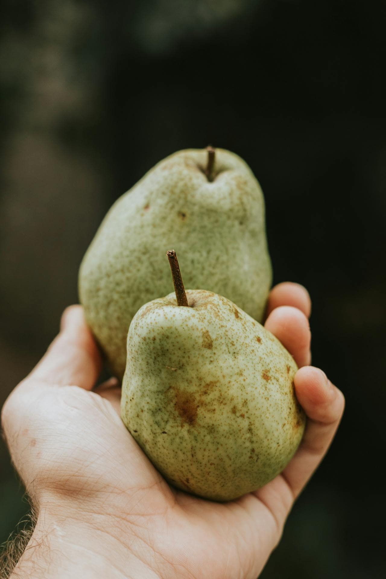 Eat These Fruits During Pregnancy For Good Health