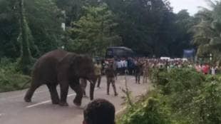 Elephant Omkar enters Mumbai Goa highway for the second time