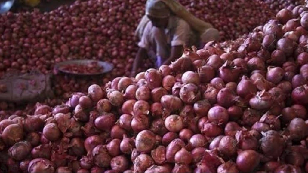 maharashtra government releases fund onion growers get pending subsidy maharashtra government releases fund onion growers get pending subsidy