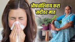 तुम्हालाही सतत सर्दी होते? मग तातडीने करा आजीने सांगितलेले ‘हे’ घरगुती उपाय; लगेच मिळेल आराम