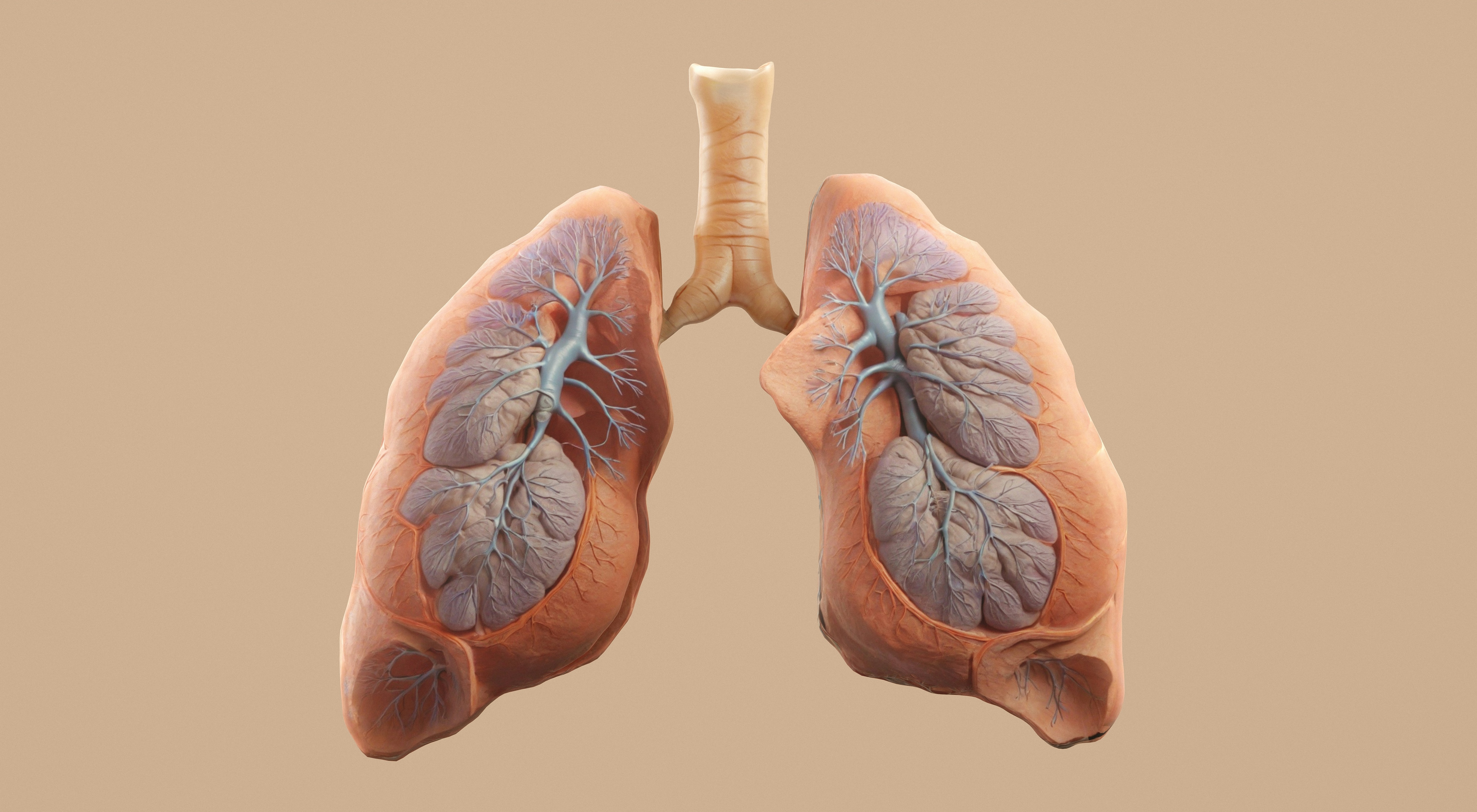 Foods That Increase Risk Of Lung Cancer