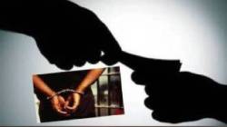 साताऱ्यात जीएसटी निरीक्षकास लाच घेताना अटक