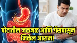 यापुढे गॅस, अ‍ॅसिडिटी होणार नाही! फक्त स्वयंपाकघरातील ‘हे’ ३ मसाले जेवणानंतर चावून खा; पोटातील जळजळ, गॅसपासून मिळेल आराम
