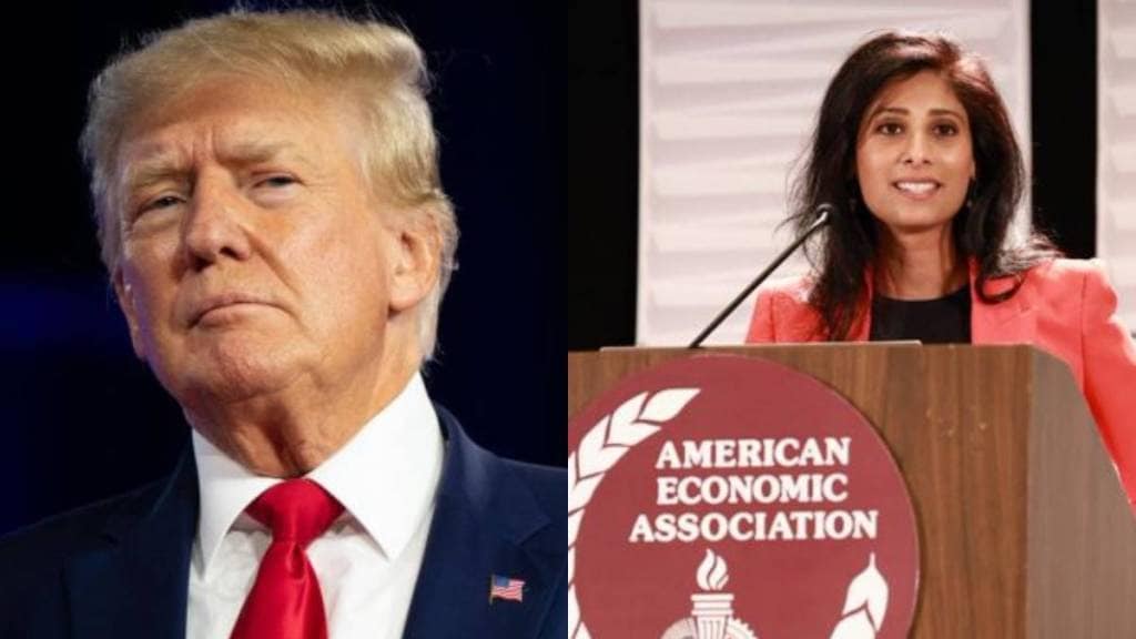 What Gita Gopinath Said?