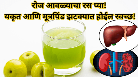 Drinking amla juice daily improves digestion Drinking amla juice daily improves digestion