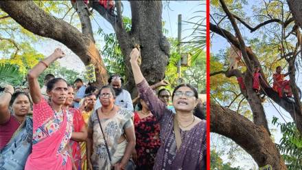 Gosekhurd project victims aggressive; Women protesters climbed a tree Gosekhurd project victims aggressive; Women protesters climbed a tree