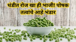 थंडीत रोज खा ही ५०-१०० रूपयांची हिरवी भाजी! पोषक तत्वांचे आहे भंडार, मधुमेहापासून ते वजन कमी करण्यापर्यंत, वाचा भन्नाट फायदे