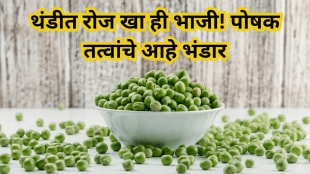 Green peace Worth 50-100 Daily in Winter Controls Diabetes Burns Fat & Boosts Strength Naturally