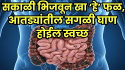 आतड्यांमध्ये साचलेली सगळी घाण बाहेर पडेल; फक्त ‘हे’ फळ पाण्यात भिजवून खा, हॉर्ट अटॅकचा धोकाही होईल कमी