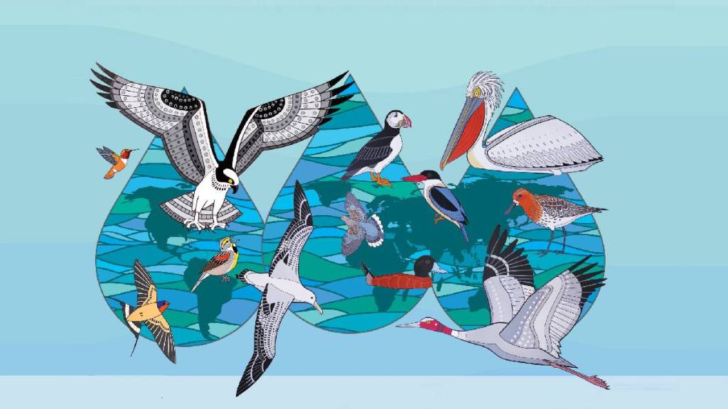 Habitats of global migratory birds under threat